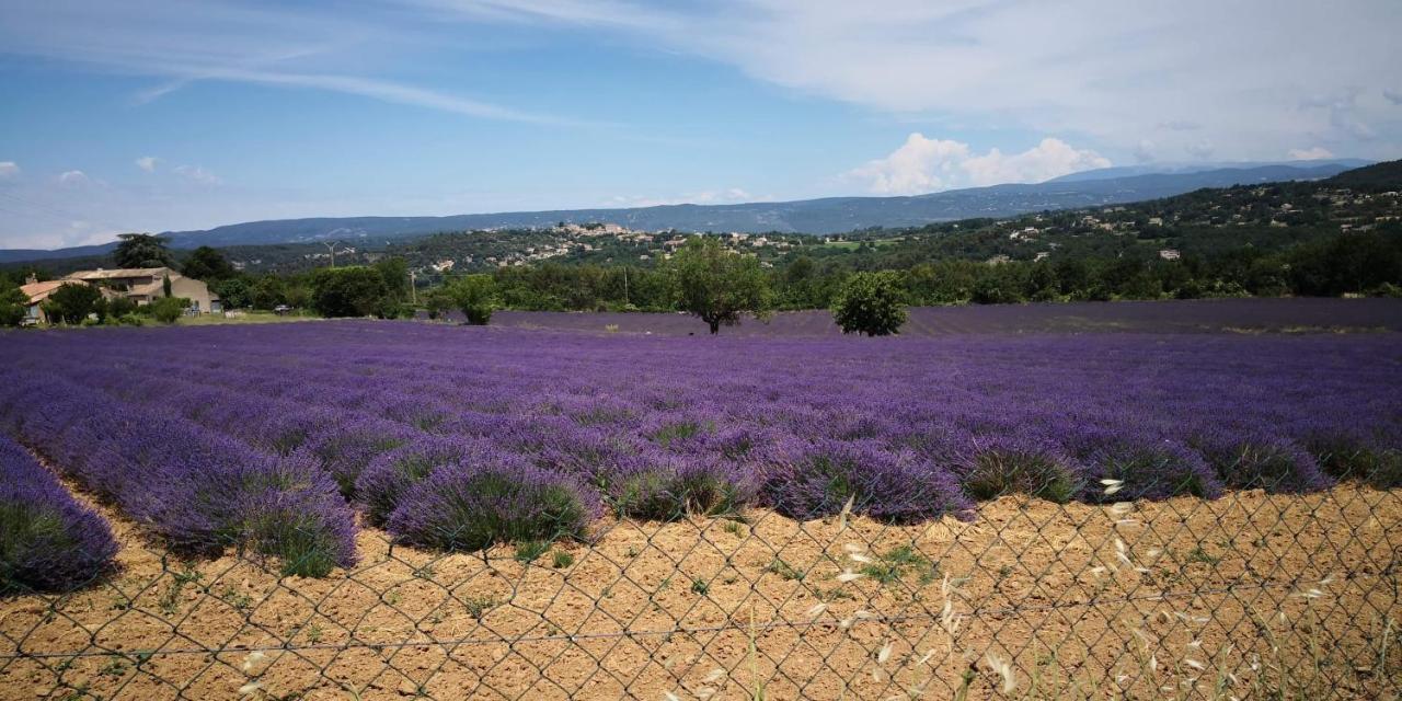 Superbe Appartement Au Coeur Du Luberon. Goult Bagian luar foto